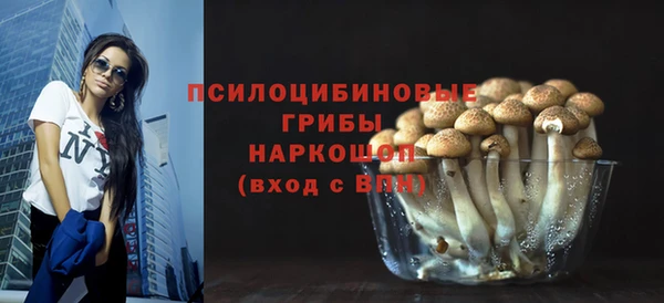 spice Верея