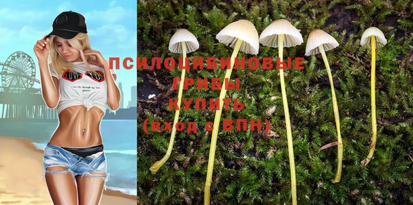 МДМА Верхний Тагил