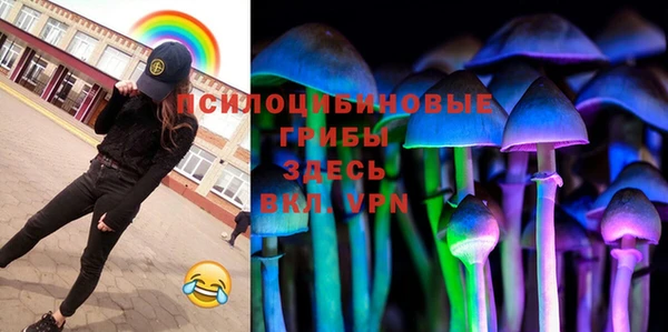 spice Верея