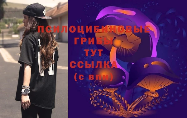 spice Верея