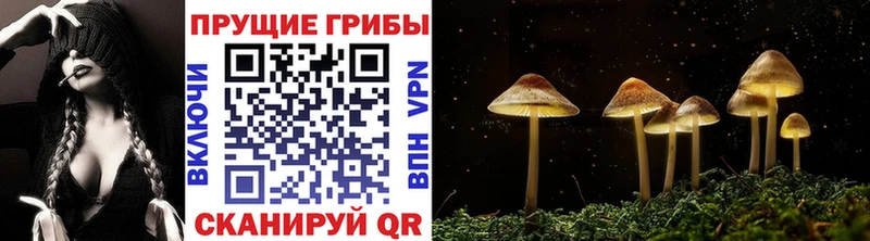 продажа наркотиков  мориарти наркотические препараты  Галлюциногенные грибы Cubensis  Курск 